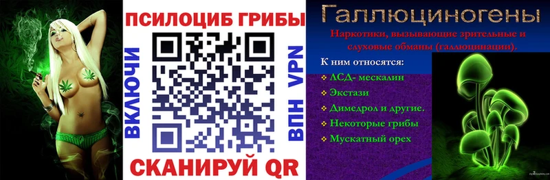 Псилоцибиновые грибы Psilocybine cubensis  Билибино 